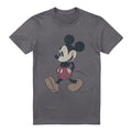 Charcoal - Front - Mickey Mouse & Friends Mens Wander T-Shirt