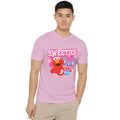 Pink - Lifestyle - Sesame Street Unisex Adult Sweeties Elmo & Abby Valentine`s Day T-Shirt