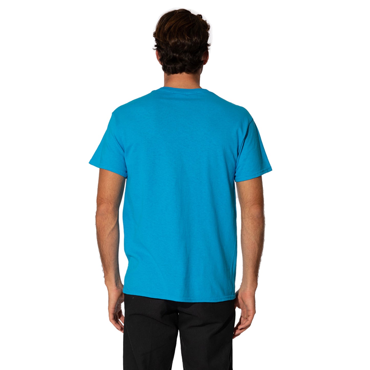 Sapphire Blue - Back - Sesame Street Mens Cookie Monster Face T-Shirt