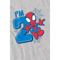 Sport Heather - Lifestyle - Spider-Man Childrens-Kids Cute Spidey 2nd Birthday T-Shirt