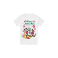 White - Front - Disney Mens Mickey & Minnie Mouse Wreath Christmas T-Shirt