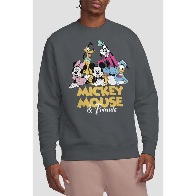 Charcoal - Back - Disney Unisex Adult Mickey Mouse Friends Sweatshirt