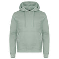 Sage Green - Front - Clique Unisex Adult Miami Hoodie