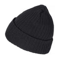 Black - Lifestyle - Clique Unisex Adult Milas Beanie