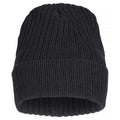 Black - Front - Clique Unisex Adult Milas Beanie
