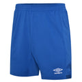 Royal Blue - Front - Umbro Childrens-Kids Vier Shorts