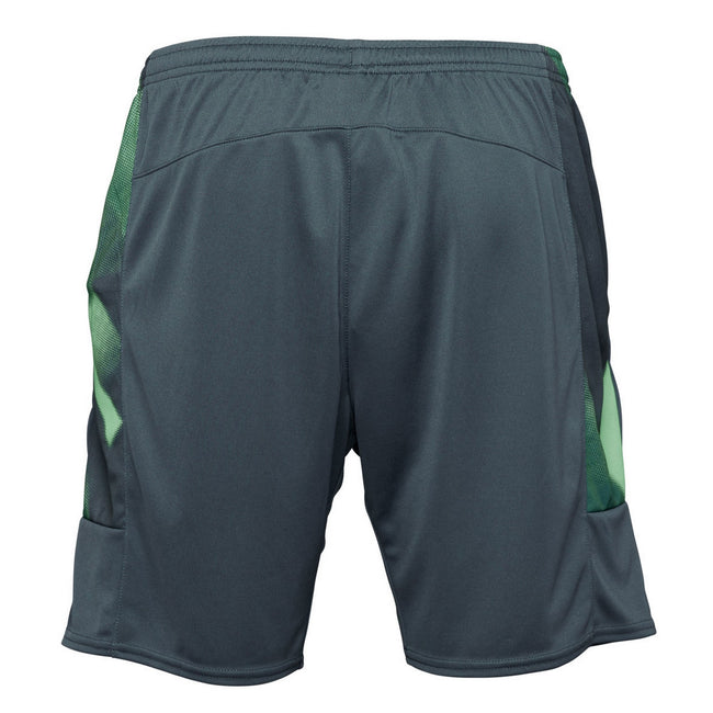 Stargazer-Deep Lake-Green - Back - SV Werder Bremen Childrens-Kids 22-23 Umbro Training Shorts