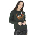 Deep Green - Front - Brave Soul Womens Christmas Dog Jumper