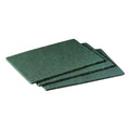 One Colour - Back - Scotch-Brite Professional General Purpose Scourers 10pk