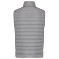 Silver Grey - Back - Iqoniq Mens Meru Recycled Polyester Body Warmer