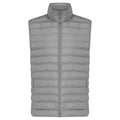 Silver Grey - Front - Iqoniq Mens Meru Recycled Polyester Body Warmer