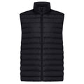 Black - Front - Iqoniq Mens Meru Recycled Polyester Body Warmer