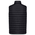 Black - Back - Iqoniq Mens Meru Recycled Polyester Body Warmer