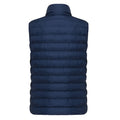Navy - Back - Iqoniq Womens-Ladies Meru Recycled Polyester Body Warmer