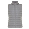 Silver Grey - Front - Iqoniq Womens-Ladies Meru Recycled Polyester Body Warmer