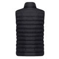 Black - Back - Iqoniq Womens-Ladies Meru Recycled Polyester Body Warmer