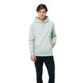 Iceberg Green - Side - Iqoniq Unisex Adult Jasper Recycled Cotton Hoodie