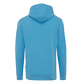 Tranquil Blue - Back - Iqoniq Unisex Adult Jasper Recycled Cotton Hoodie