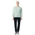 Iceberg Green - Side - Iqoniq Unisex Adult Kruger Recycled Cotton Crew Neck Relaxed Fit Sweatshirt