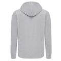 Storm Grey - Back - Iqoniq Unisex Adult Trivor Microfleece Hoodie