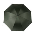Green - Back - Vinga Baltimore RPET Aware Stick Umbrella