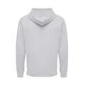 Heather Grey - Back - Iqoniq Unisex Adult Abisko Recycled Cotton Full Zip Hoodie