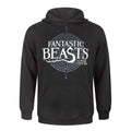 Front - Fantastic Beasts And Where To Find Them Mens Logo Hoodie