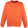 Front - Awdis Childrens Unisex Electric Sweatshirt / Schoolwear