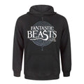 Black - Front - Fantastic Beasts And Where To Find Them Mens Logo Hoodie