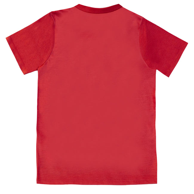 Red-Heather Grey - Back - Harry Potter Mens Gryffindor Pyjama Set