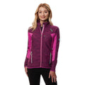 Purple Violet - Back - Regatta Womens-Ladies Catley III Hybrid Full Zip Jacket