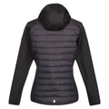 Black - Back - Regatta Womens-Ladies Andreson VII Hybrid Jacket