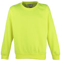 Electric Yellow - Front - Awdis Childrens Unisex Electric Sweatshirt - Schoolwear