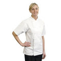 Front - BonChef Adults Danny Short Sleeved Chef Jacket