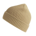 Front - Atlantis Unisex Adult Maple Ribbed Recycled Beanie