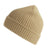 Front - Atlantis Unisex Adult Maple Ribbed Recycled Beanie