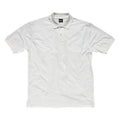Front - SG Ladies Cotton Short Sleeve Polo Shirt
