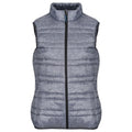 Front - Regatta Womens/Ladies Firedown Body Warmer
