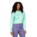 Front - Juice Womens/Ladies Danica Cropped Hoodie