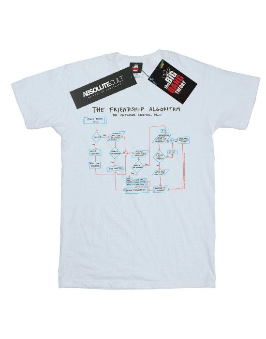 Front - The Big Bang Theory Womens/Ladies Friendship Algorithm Cotton Boyfriend T-Shirt