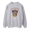 Front - Harry Potter Womens/Ladies Gryffindor Heather Sweatshirt