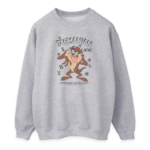Front - Looney Tunes Womens/Ladies Tasmanian Devil Vintage Heather Sweatshirt