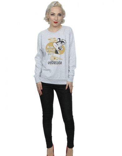 Heather Grey - Lifestyle - Looney Tunes Womens-Ladies Odorizer Pepe Le Pew Sweatshirt