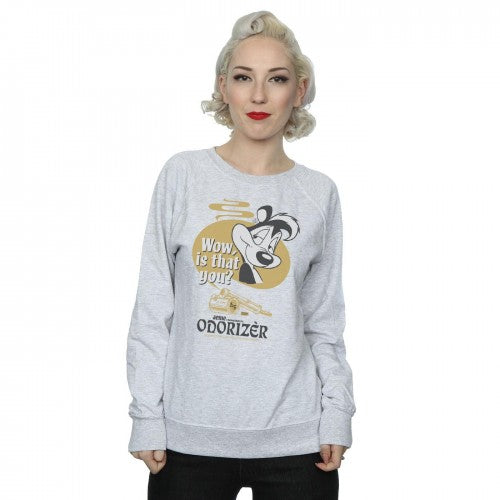 Heather Grey - Back - Looney Tunes Womens-Ladies Odorizer Pepe Le Pew Sweatshirt