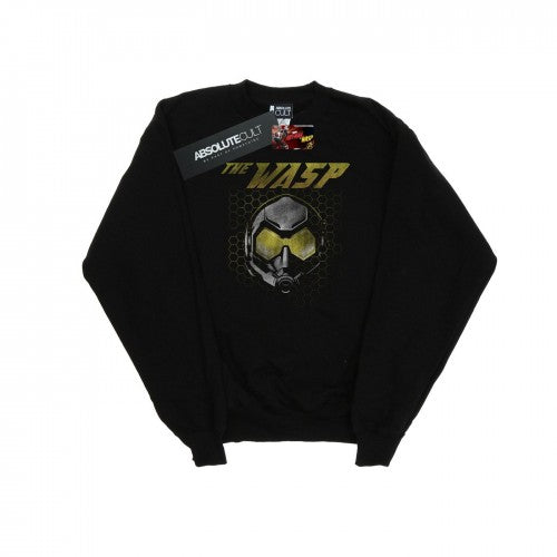 Front - Marvel Boys Ant-Man And The Wasp Hope Mask Hexagon Sweatshirt