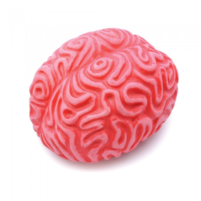 Front - Bristol Novelty Squeezy Brain