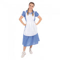 Front - Bristol Novelty Womens/Ladies Classic Country Girl Costume