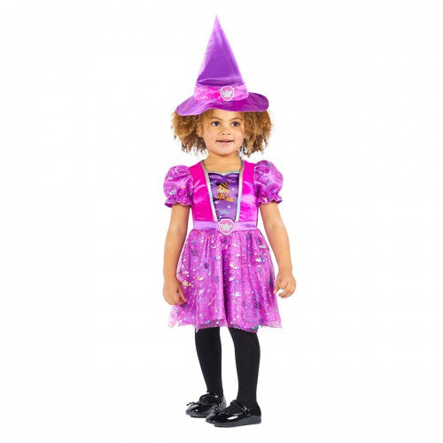Front - Paw Patrol Girls Skye Witch Costume Set