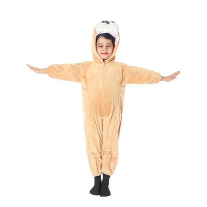 Front - Bristol Novelty Childrens/Kids Squirrel Costume Set
