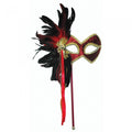 Front - Bristol Novelty Womens/Ladies Stick Mask And Feathers